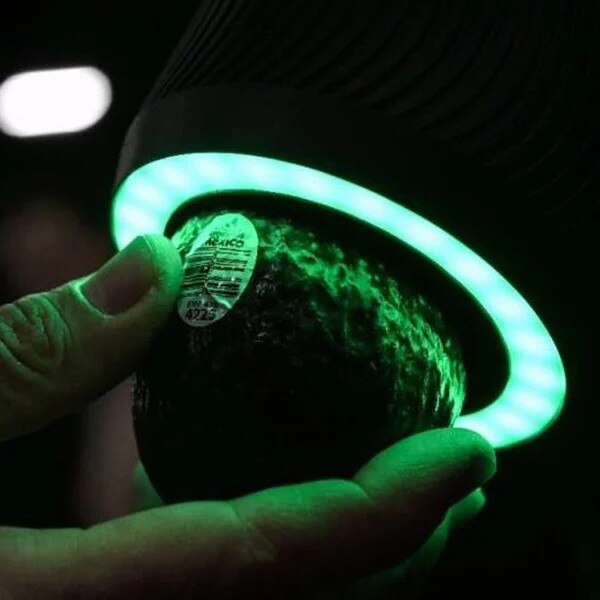 avokado skanneri infrapuna